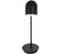 Настольная офисная лампа LOFT IT Tango 10144 Black 3