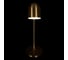 Настольная офисная лампа LOFT IT Tango 10144 Gold 5