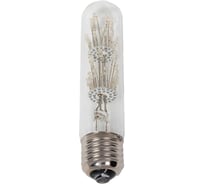 Светодиодная лампа LOFT IT Edison Bulb T1030LED