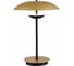 Настольная декоративная лампа ST luce ARMONICO SL6502.204.01 1
