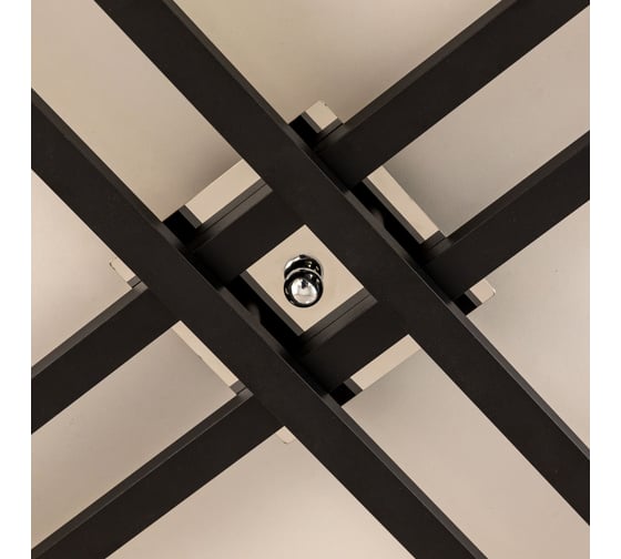 Потолочная люстра Citilux Сафари CL145281