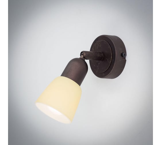 Поворотный спот Citilux Ронда Антик CL506514