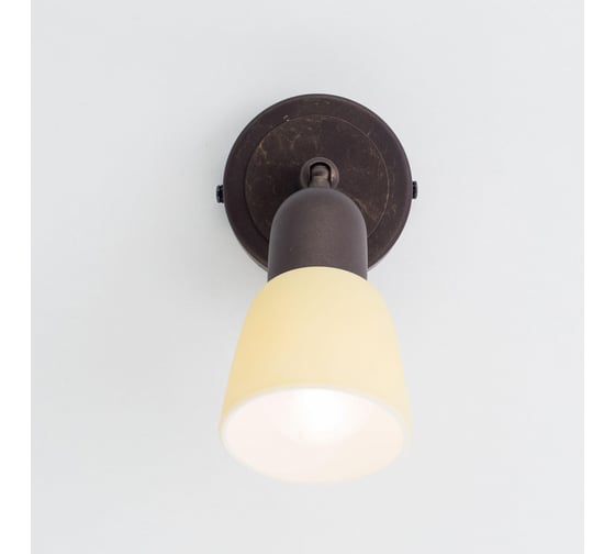 Поворотный спот Citilux Ронда Антик CL506514