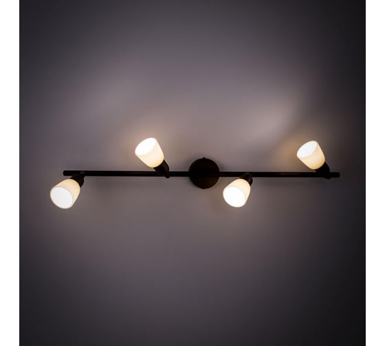 Поворотный спот Citilux Ронда Антик CL506544
