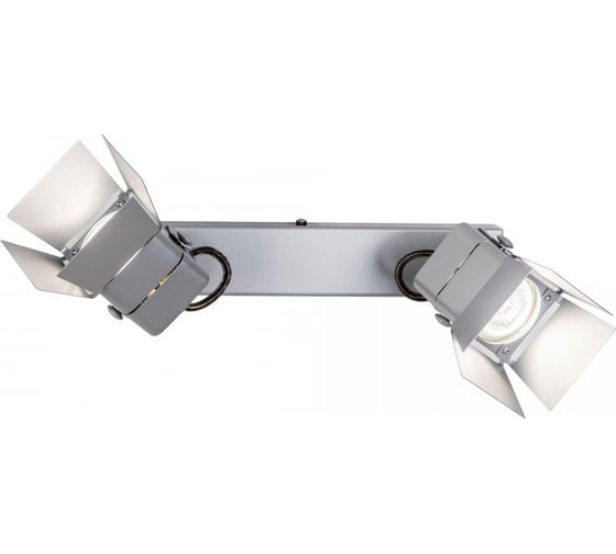 Поворотный спот Citilux Рубик Серебро CL526521S 1