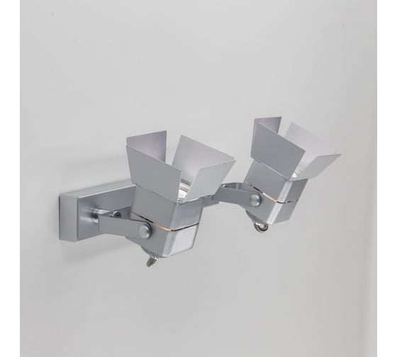 Поворотный спот Citilux Рубик Серебро CL526521S