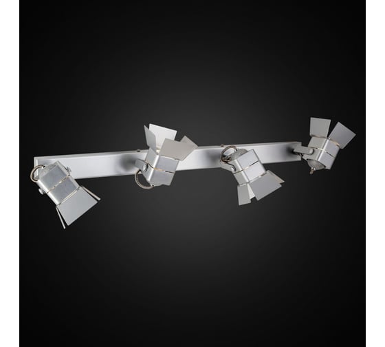 Поворотный спот Citilux Рубик Серебро CL526541S