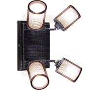 Поворотный спот Citilux Робин Чёрный CL535541