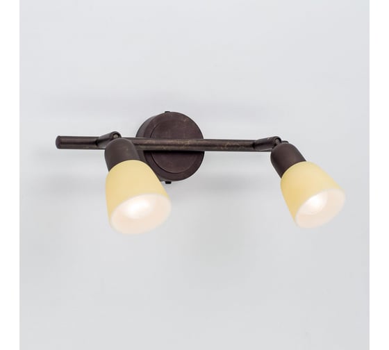 Поворотный спот Citilux Ронда Антик CL506524
