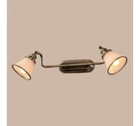 Поворотный спот Citilux Прованс Бронза CL511523