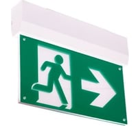 Светодиодный светильник АСТЗ ДПО80-1-133 Faeton DT LED IP20, 315x223x45 1180001133