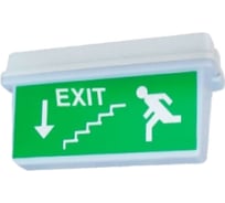 Светодиодный светильник АСТЗ ДПО78-3-133 Neptun DT LED IP65, 352x175x105, корпус ПК, белый, рассеиватель опал. из ПК, LED, 3 Вт, БАП 3 ч., постоянный, Telecontrol 1178003133