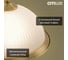 Настольная лампа Citilux Идальго Бронза CL434811 11