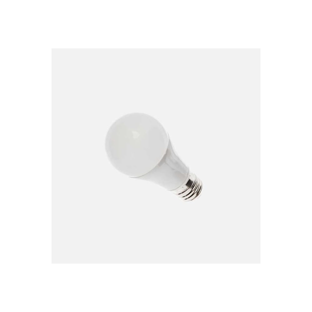Светодиодная лампа BELLIGHT A60 Е27 12W 12-48 вольт 6500К 1020Лм ...