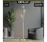 Торшер Citilux Томми Матовый Хром CL102931 10