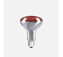 Лампа ИКЗК BELLIGHT 230-240В 150Вт R125 Е27 BL(20) 1945162