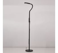 Гибкий светодиодный торшер Citilux Марк Чёрный CL804021