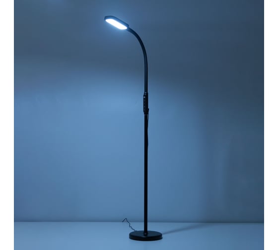 Гибкий светодиодный торшер Citilux Марк Чёрный CL804021