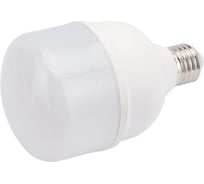 Светодиодная лампа BELLIGHT LED Т80 30W/E27 4000К 22354587