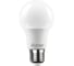 Лампа светодиодная RITTER LED A60 Е27 13W 1040Лм, 2700K, теплый свет , 32346 4 2