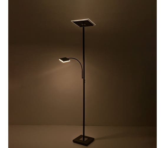 Торшер Citilux Харди LED с диммером Кофейный CL802015
