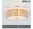Хрустальная люстра Citilux Портал Золото CL324132 16