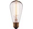 Лампа накаливания LOFT IT Edison Bulb 1008 1