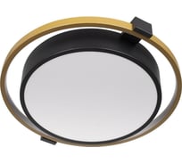 Накладной светильник LOFT IT Mike 10169