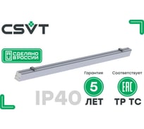 Светодиодный аварийный светильник CSVT FLORA 50-36 OPAL-1540 IP40 6500K серый с БАП на 1 час LUXDATOR ЦБ000017339