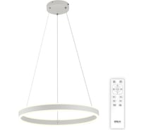 Подвесная люстра с пультом Citilux Дуэт LED Белая CL719500