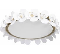 Накладной светильник LOFT IT Bride 10175