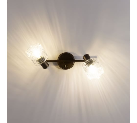 Поворотный спот с выключателем Citilux Артик венге CL510525