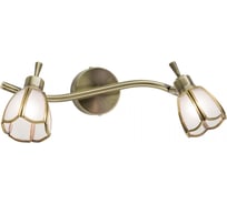 Поворотный спот Citilux Альтен Бронза CL522521