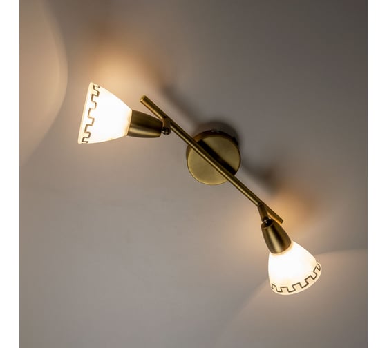 Поворотный спот Citilux Афина Бронза CL507523