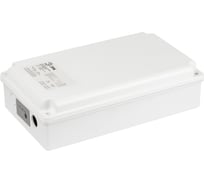 БАП для светильников ЭРА LEDLPE2001240 универсальный до 200Вт 1час IP65 Б0055351