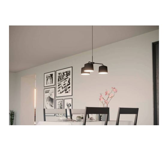 Спот EGLO CARDILLIO 2 900514