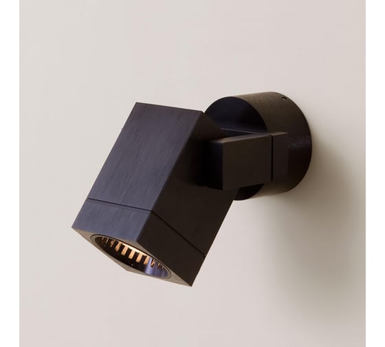 Поворотный спот Citilux Дюрен Черный CL538612 1
