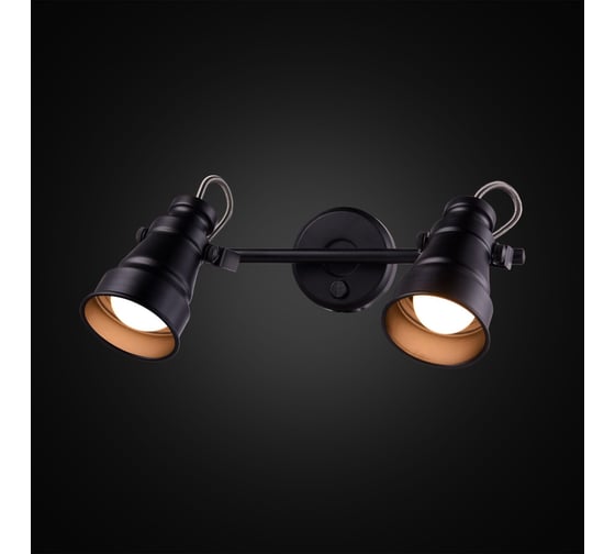 Поворотный спот с выключателем Citilux Бейкер Черный CL541521