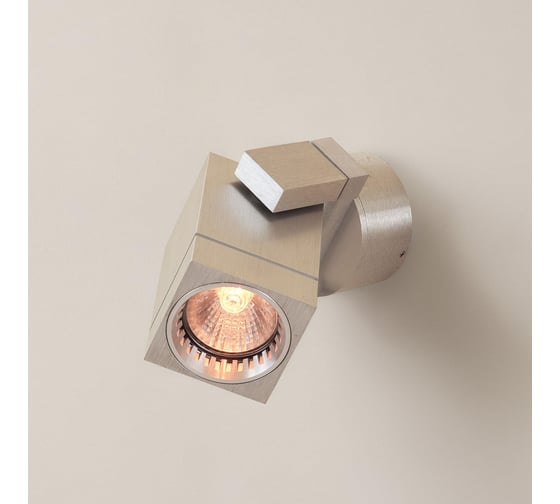 Поворотный спот Citilux Дюрен Алюминий CL538610