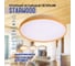 Светодиодный светильник Lumin'arte 60Вт, с пультом дист. управления STARWOOD-WH CLL46 2