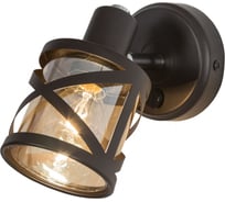 Поворотный спот с выключателем Citilux Гессен венге CL536615