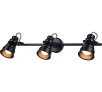 Поворотный спот Citilux Бейкер Черный CL541531