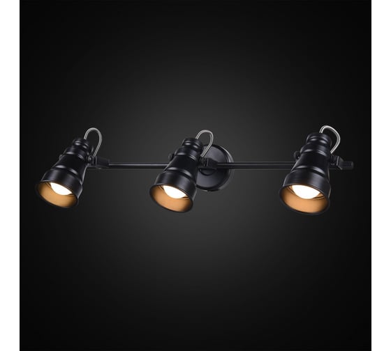 Поворотный спот Citilux Бейкер Черный CL541531