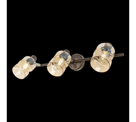 Поворотный спот с выключателем Citilux Кингстон венге CL518530