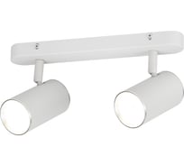 Настенно-потолочный спот ЭРА OL352 WH MR16 GU10 IP20 белый хром Б0056365