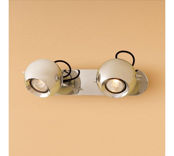 Поворотный спот Citilux Сфера Хром CL532521 1