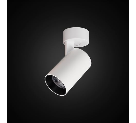 Накладной поворотный светильник Citilux Тубус LED Белый CL01B070N