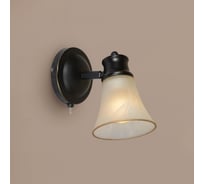 Спот Citilux Трек Классик с выключателем Венге CL560515