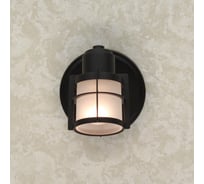 Спот Citilux Трек Реймс с выключателем Венге CL563511