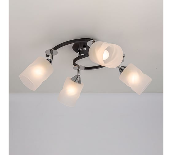Люстра с поворотными плафонами Citilux Сиерра Чёрная CL119241